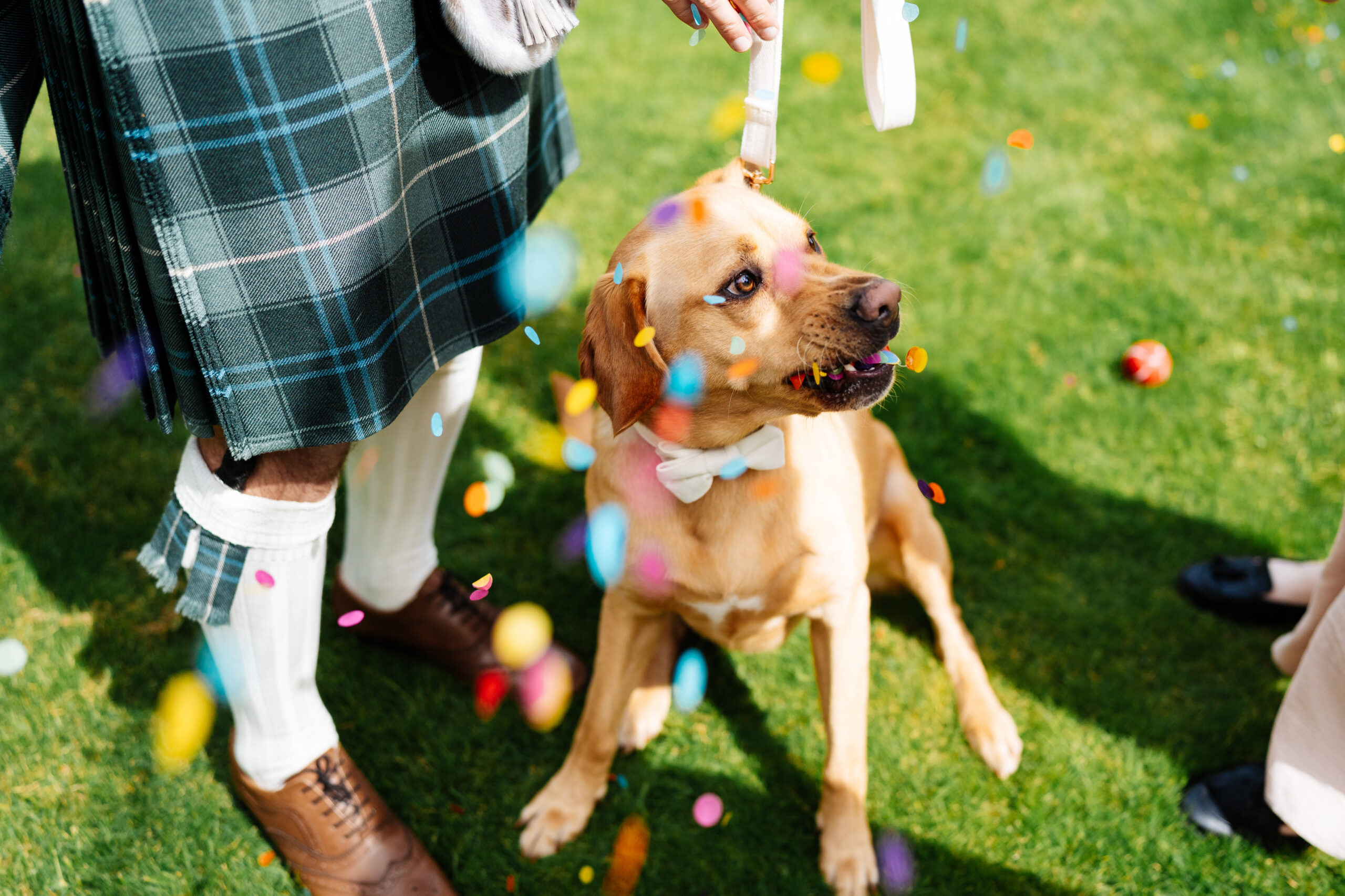 Victoria Photography Hero - Beautiful wedding photography