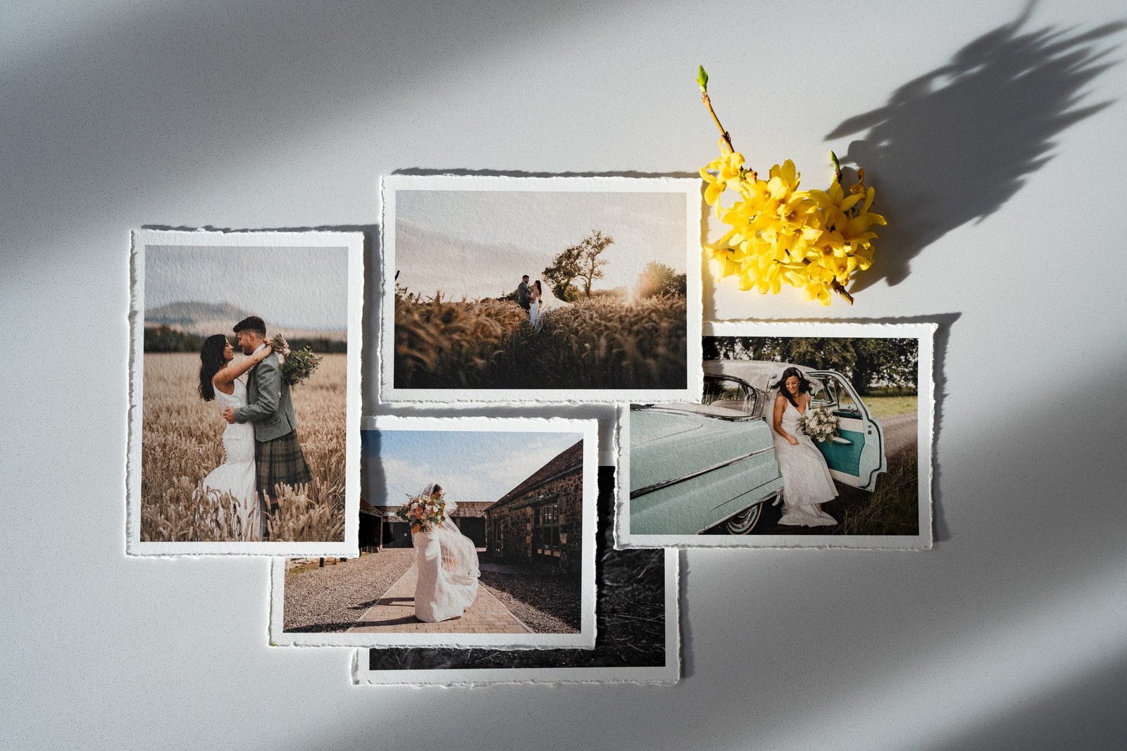 Prints so beautiful you'll want to show your neighbours (even the ones you don't like)